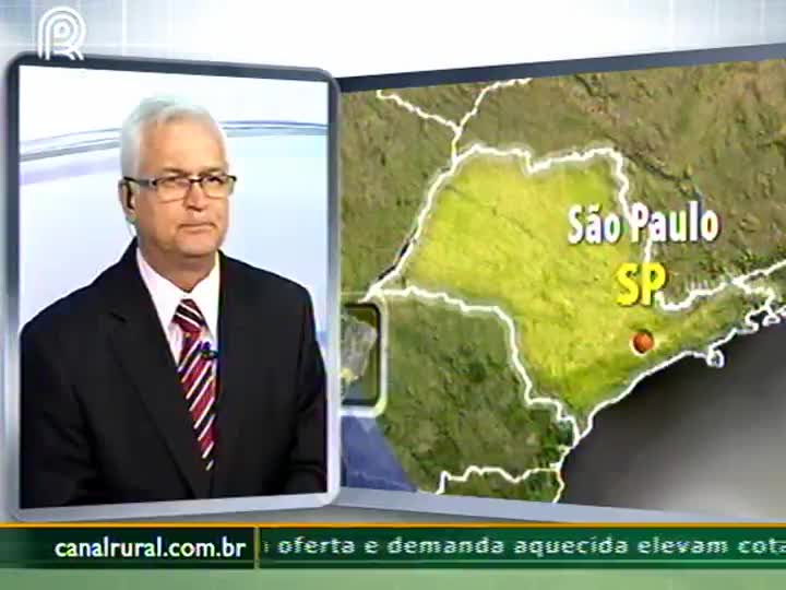 Carnes: Manifestação dos caminhoneiros afeta mercado