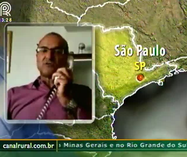 Paralisações dos caminhoneiros afeta comercialização da soja nos portos