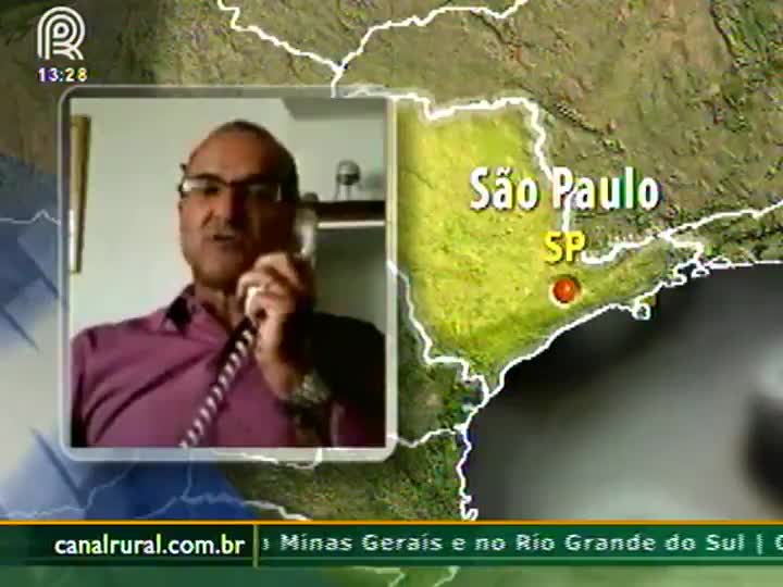 Paralisações dos caminhoneiros afeta comercialização da soja nos portos