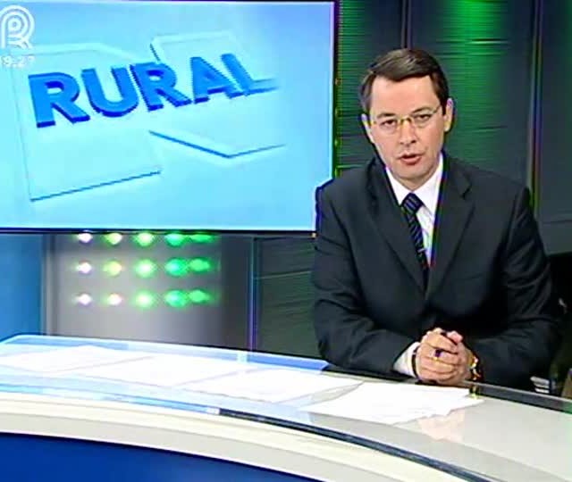 Veja a situação da avicultura em Santa Catarina com a greve