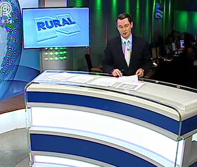 Frigoríficos catarinenses podem perder R$ 150 milhões por dia