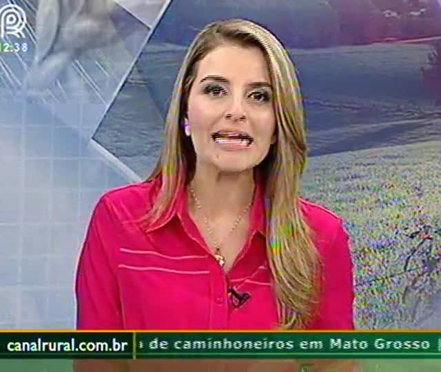 Comércio de Realeza (PR) fecha as portas e adere greve dos caminhoneiros