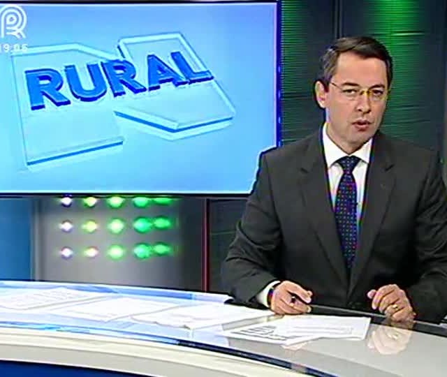 Rodovias federais são liberadas no Paraná