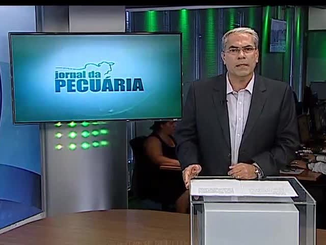 Setor avícola contabiliza milhões em prejuízos com a greve