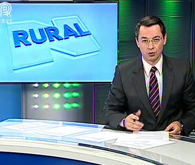 Greve em Mato Grosso prejudica plantio do milho segunda safra