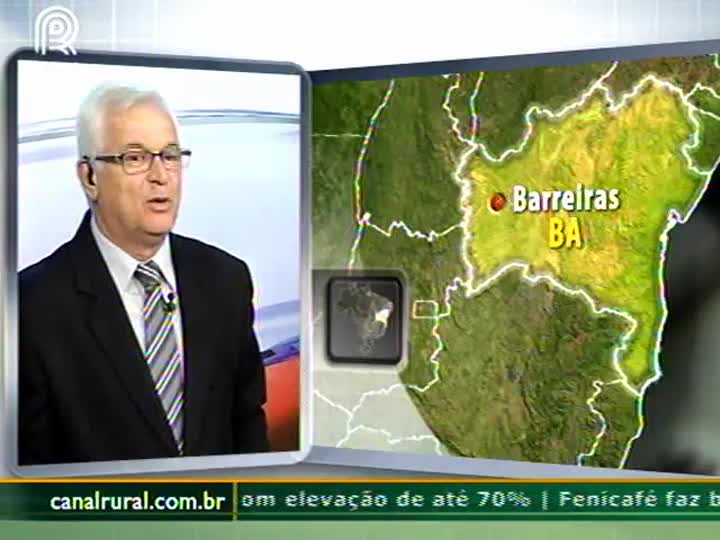 Produtor defende dobrar área de refúgio em áreas de grande produção de soja