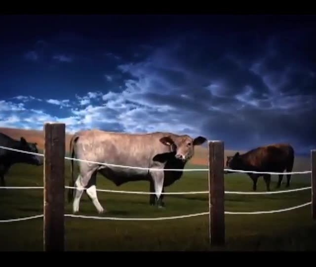 Saiba qual a função do tour verde e tour amarelo