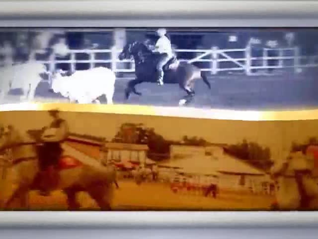 Acompanhe a história da criadora Andréa Carolis