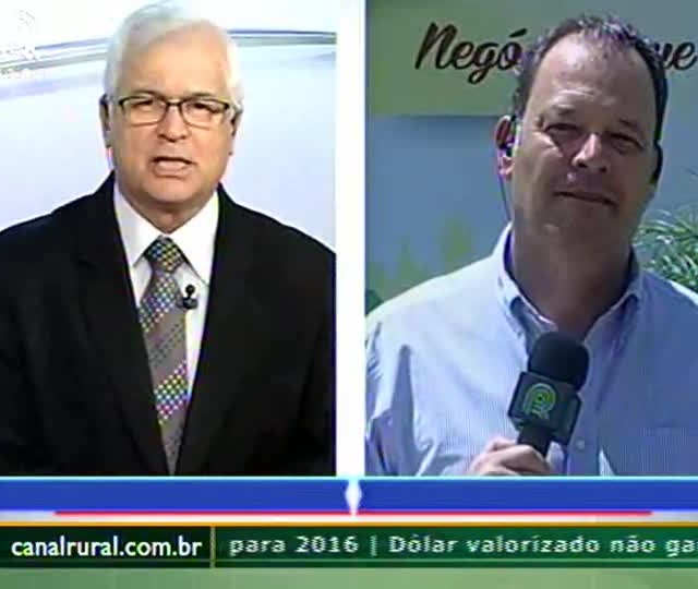 Sojicultores do Rio Grande do Sul esperam safra acima dos 15 milhões de toneladas