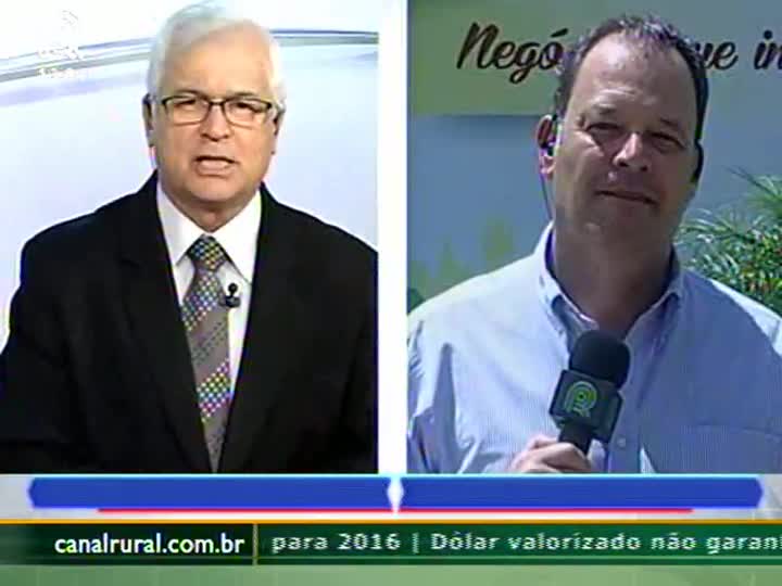 Sojicultores do Rio Grande do Sul esperam safra acima dos 15 milhões de toneladas