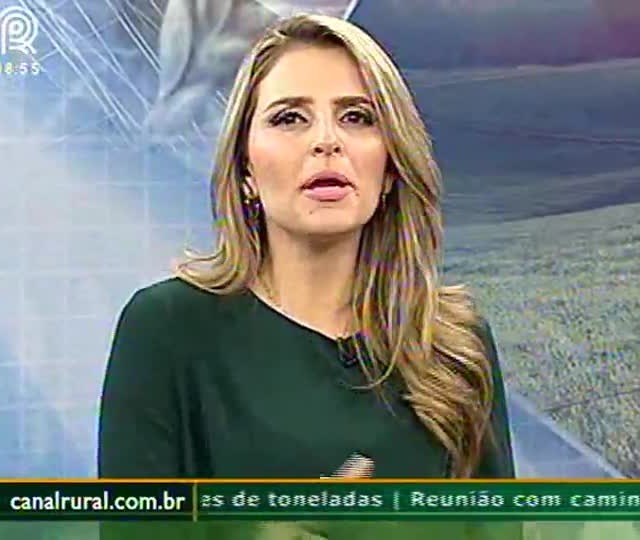 Custo de produção será o desafio da próxima safra, diz Mendonça de Barros