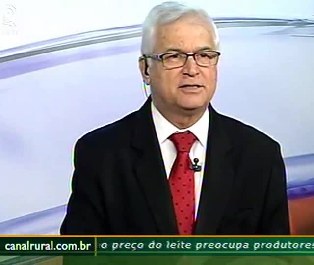 Expodireto: especialista fala sobre melhoramento genético