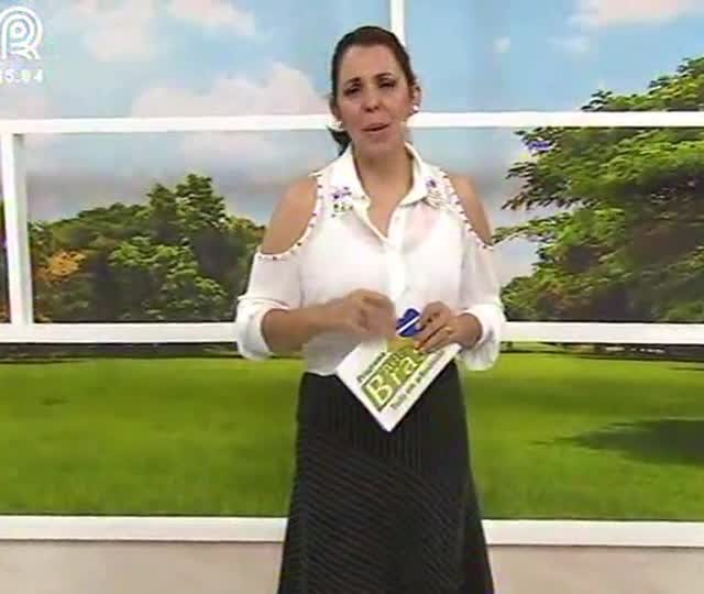 Mini organizador de bijuterias em cartonagem