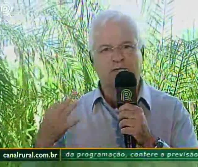 Especialista fala sobre a ferrugem na soja