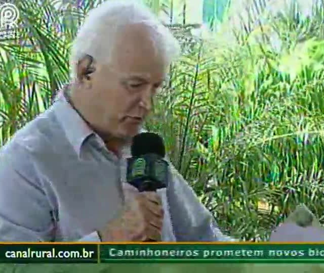 Safra 2014/2015 do RS sofreu com ferrugem