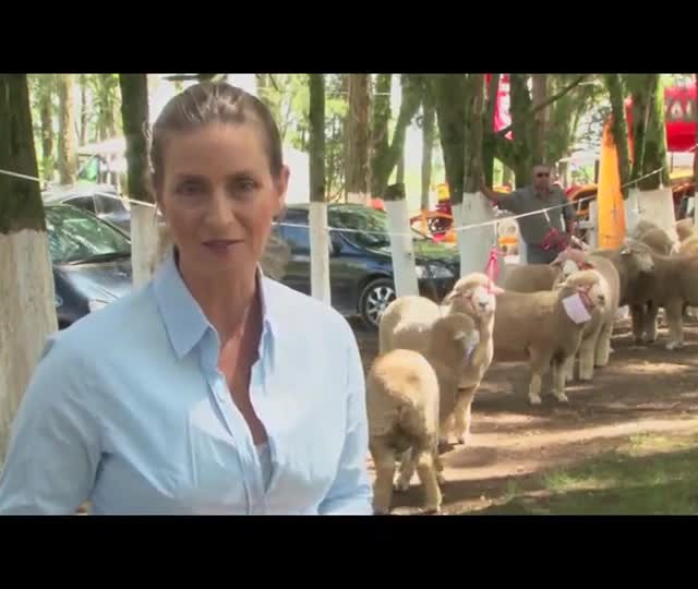 Feovelha 2015 reúne produtores de mais de 40 municípios