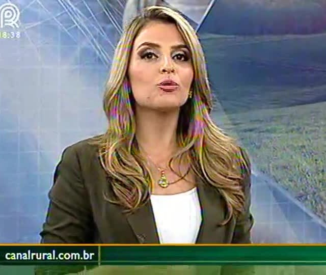 Planejar compra de insumos pode garantir rentabilidade