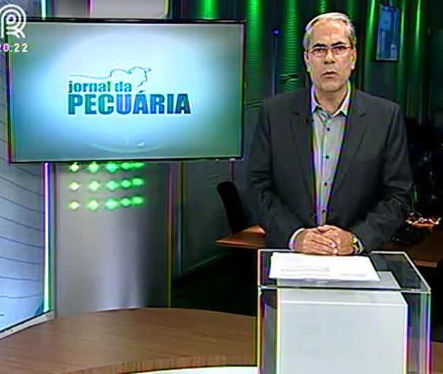 Saiba como evitar a Doença de Marek dos aviários