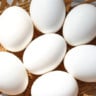 ovos