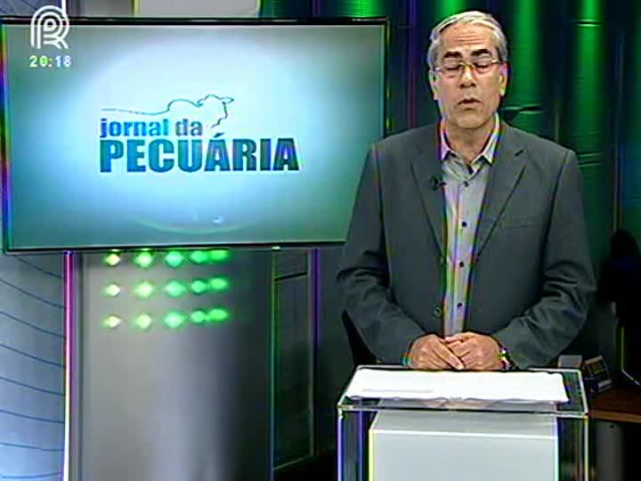 Boi gordo: estoque de machos tem queda de 3% em Mato Grosso