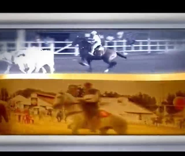 Mangalarga Marchador se apresenta na maior feira equestre da Europa, a Equitana