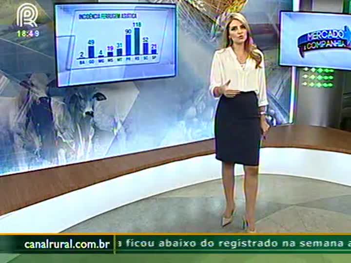 Ataque de ferrugem asiática é 57% maior na safra gaúcha de soja