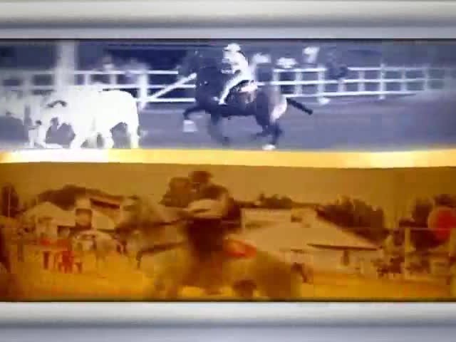 Confira a exposição Herdeiros da Raça Marchador na Equitana 2015