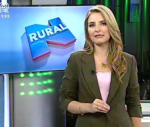 Chuva reduz ritmo da colheita de soja na Bahia