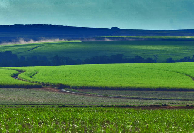 Fonte: Canaoeste