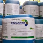 glifosato bayer