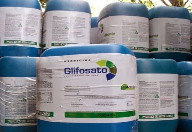 glifosato bayer