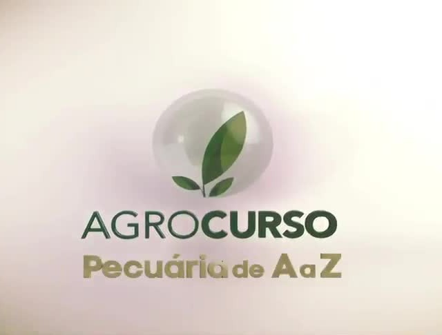 Pecuária de A a Z introduz noções de nutrição bovina