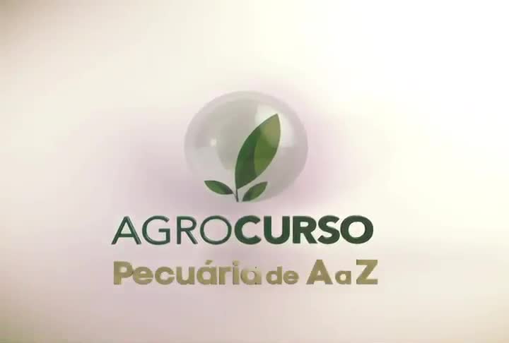 Pecuária de A a Z introduz noções de nutrição bovina