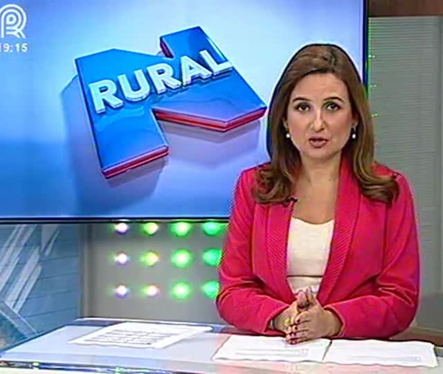 Juros devem subir de 1 a 2 pontos percentuais, diz Sérgio Souza