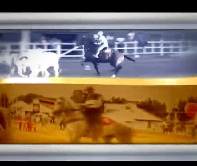 Marchador participa da maior feira equestre do mundo