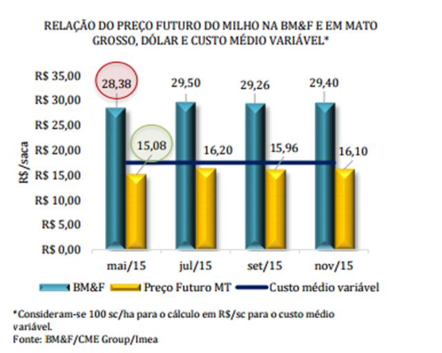 Boa produtividade do milho pressionará preços para baixo