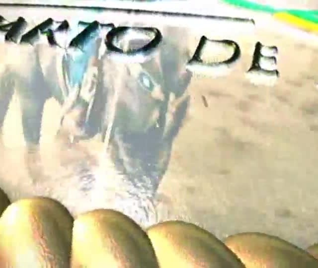 Famílias participam do Congresso ABQM