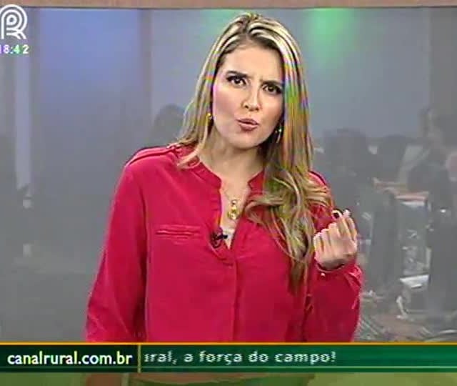 Milho recua até R$ 1,50 por saca na semana