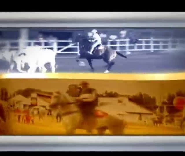 Haras Kallyo, no Ceará, se compara a um oásis