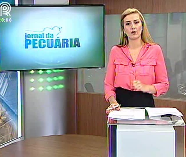 Quarto de Milha: quando é necessário o casqueamento e o ferrageamento?