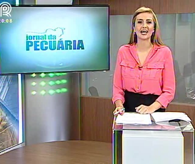 Boa alimentação ajuda o cavalo nas competições