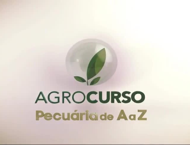 Estação de monta é tema do Pecuária de A a Z