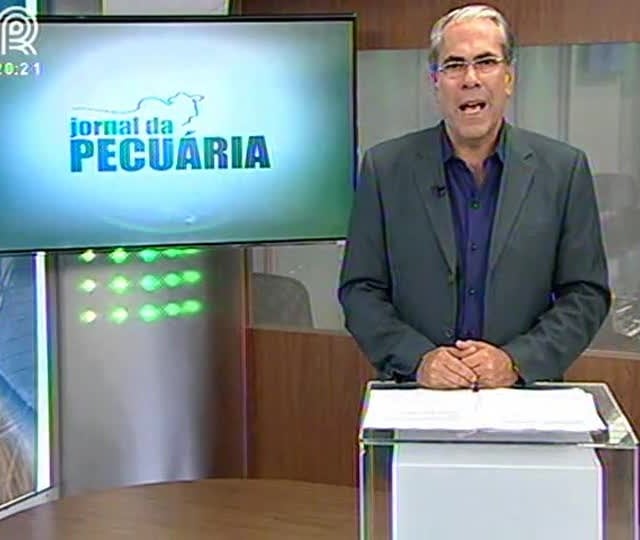 Dólar valorizado encarece importação de quarto de milha