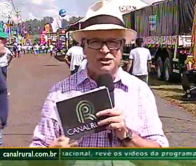 Cana: novo fertilizante pode aumentar produtividade