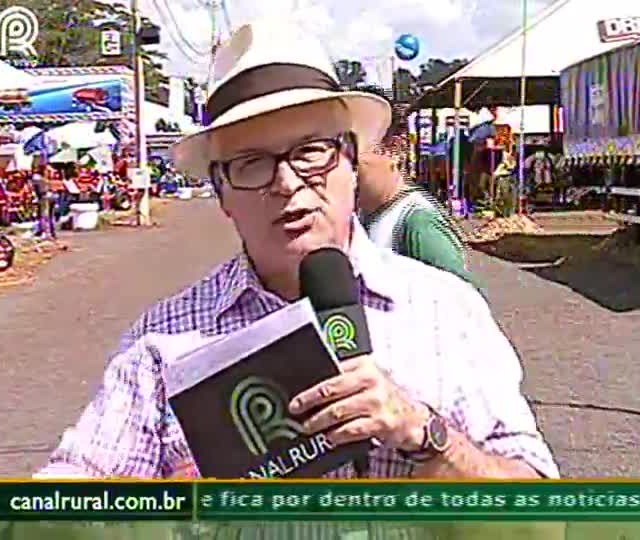 Algodão colorido sem química