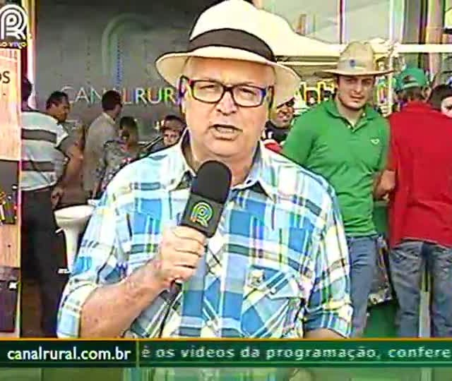 IAC estuda híbrido de milho para refúgio