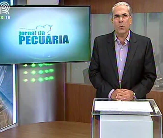 Leite: margem de lucro apresenta melhora