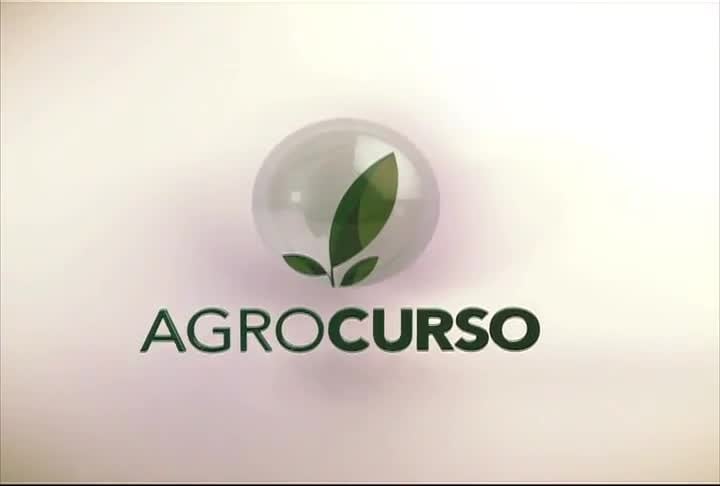 Novo Agrocurso ensina a confinar gado