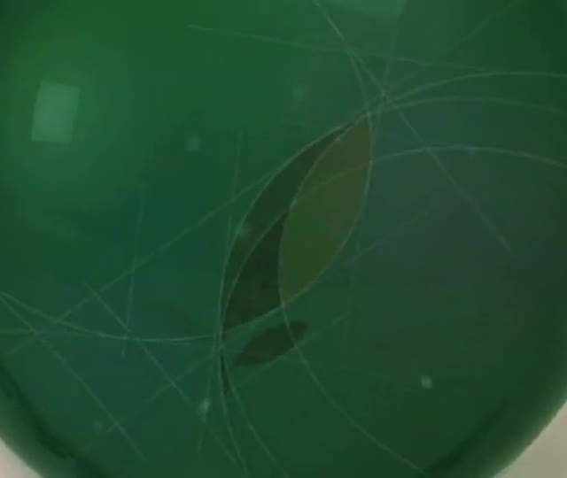 Confinamento – Aula 1 Vantagens e cuidados