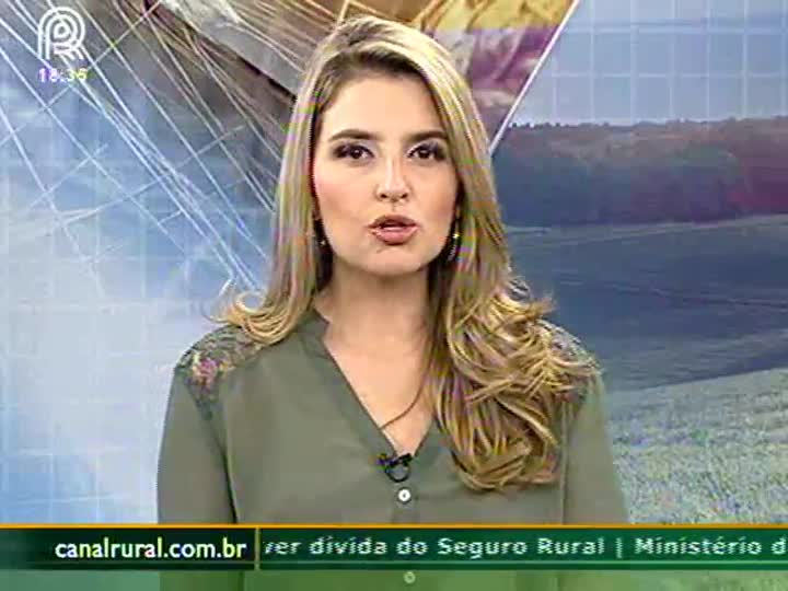 Cinco mil produtores de milho safrinha aguardam subvenção do Seguro Rural